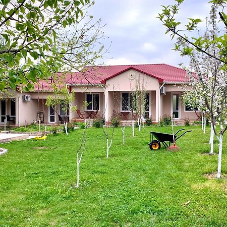 Cozy Family Cottages Vendam Bagian luar foto