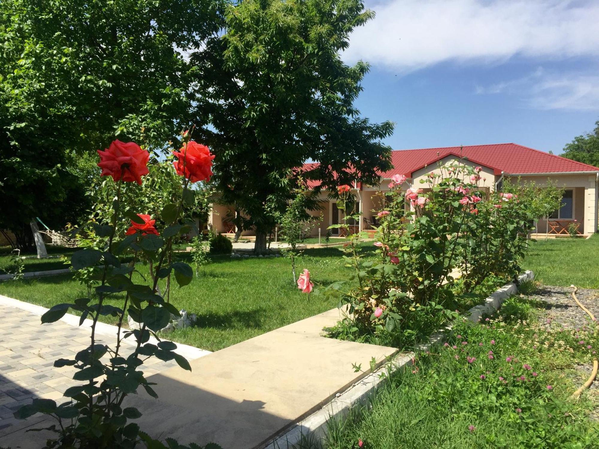 Cozy Family Cottages Vendam Bagian luar foto